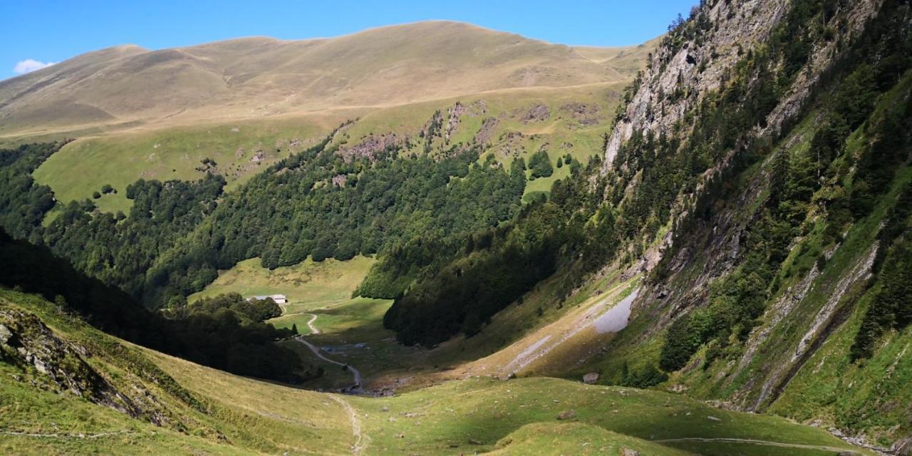 Hotel Le 41 Avenue Foch Bagnères-de-Luchon Zewnętrze zdjęcie